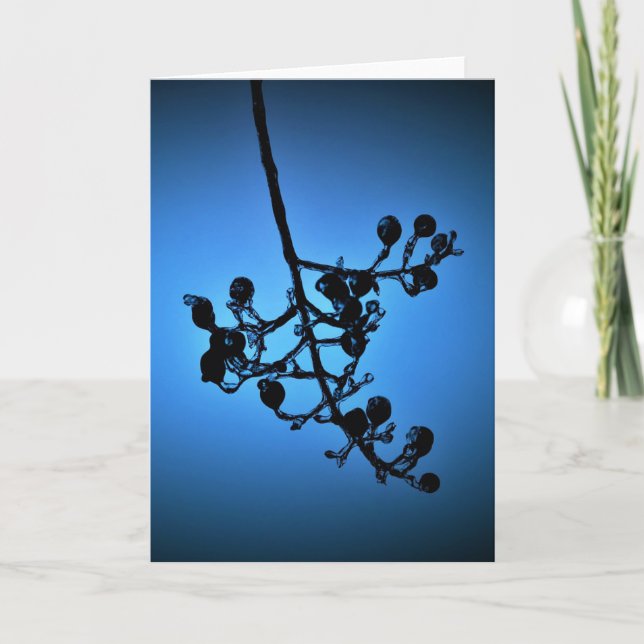 Bleu d'hiver, carte (Devant)