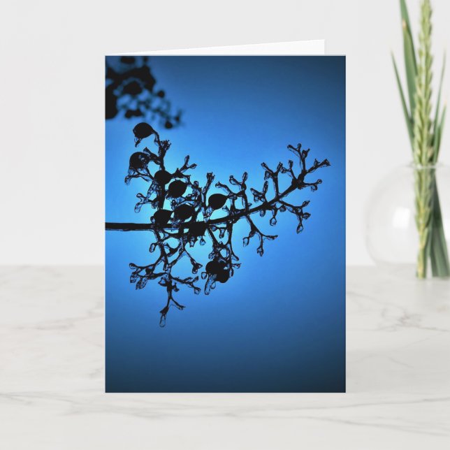 Bleu d'hiver, carte (Devant)