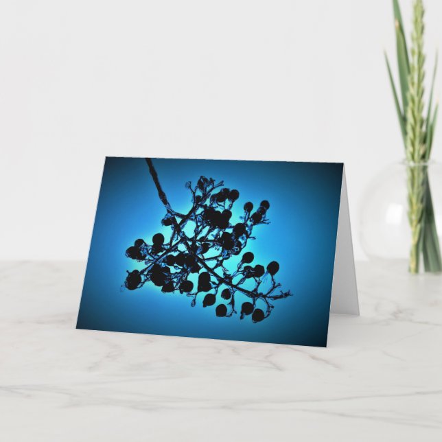 Bleu d'hiver, carte (Devant)