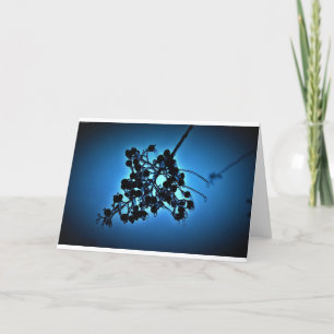 Bleu d'hiver, carte