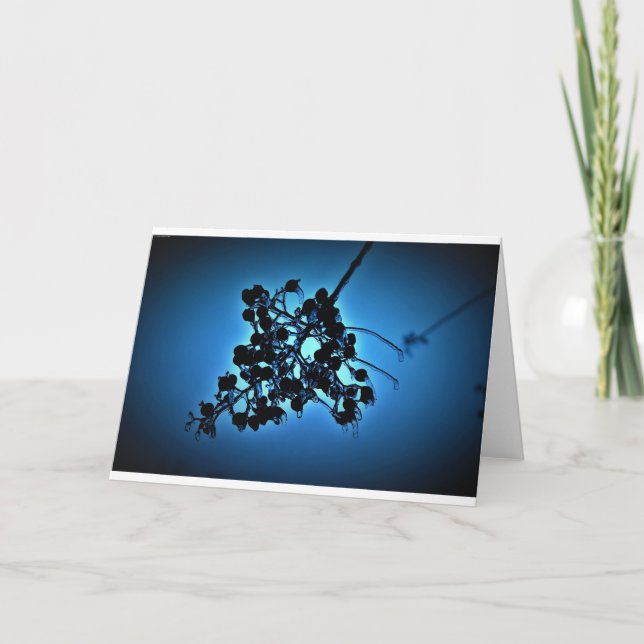 Bleu d'hiver, carte (Devant)