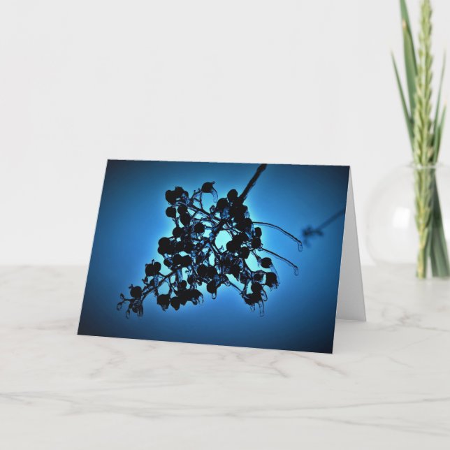 Bleu d'hiver, carte (Devant)