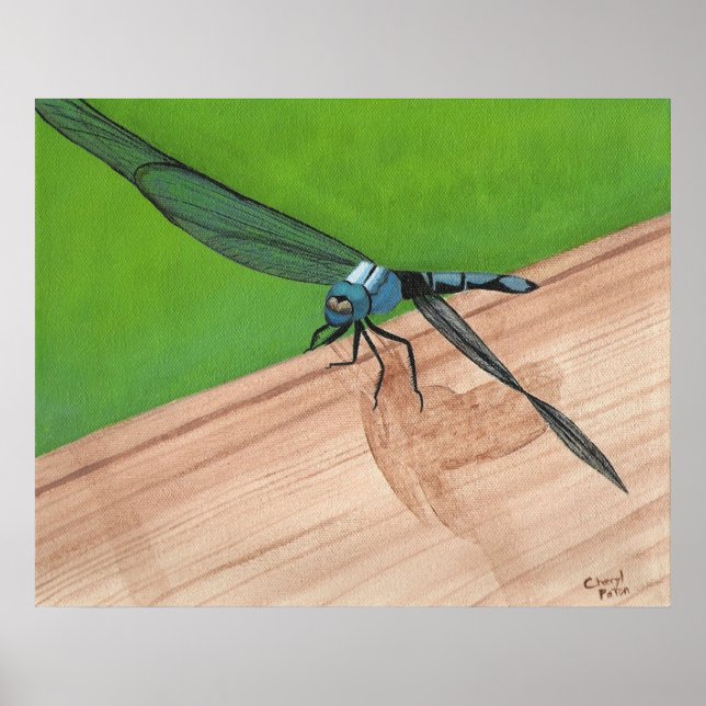 Bleu dragonfly Insect sur une affiche ferroviaire (Devant)