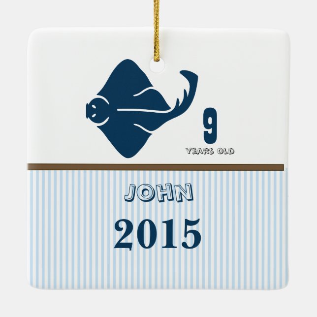 Bleu et Brown Rayon de pose rayures ornement photo (Dos)