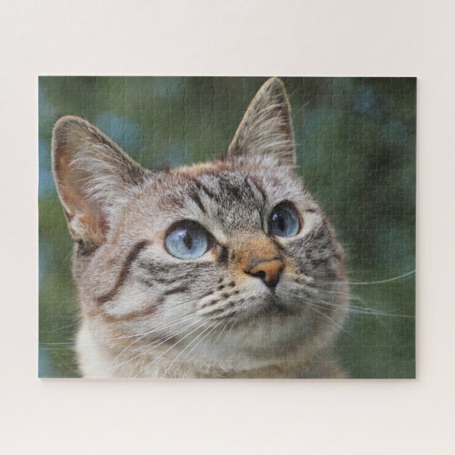 Bleu Eyed Tabby Cat Jigsaw Puzzle (Horizontal)