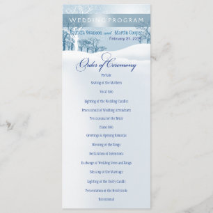 Bleu glacier de programme de mariage d'hiver de