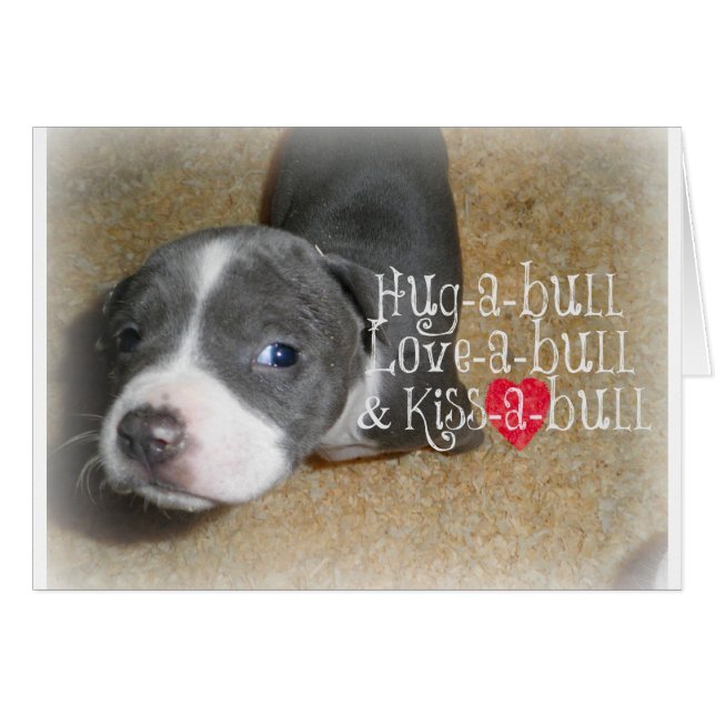 Bleu Grosses du nez (Devant horizontal)