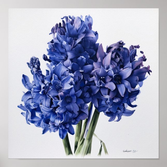 Bleu Hyacinth Flower Art Imprimer Poster (Devant)