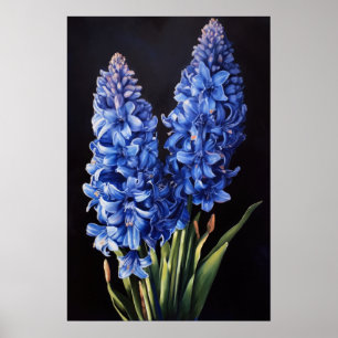 Bleu Hyacinth Flower Art Imprimer Poster