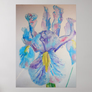 Bleu Iris Irises Floral Fleurs Aquarelle Poster