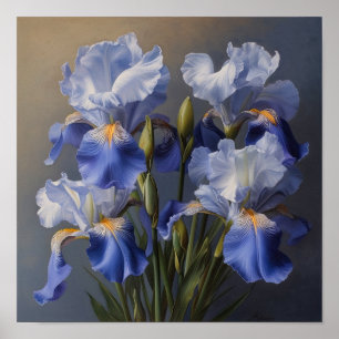 Bleu Irises Fleur Art Imprimer Poster