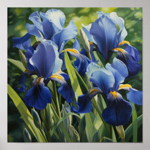 Bleu Irises Fleur Art Imprimer Poster