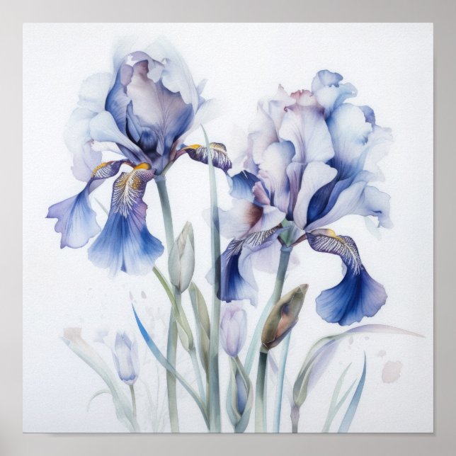 Bleu Irises Fleur Art Imprimer Poster (Devant)