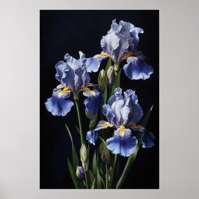 Bleu Irises Fleur Art Imprimer Poster (Devant)