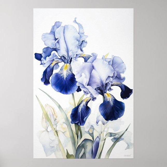 Bleu Irises Fleur Art Imprimer Poster (Devant)
