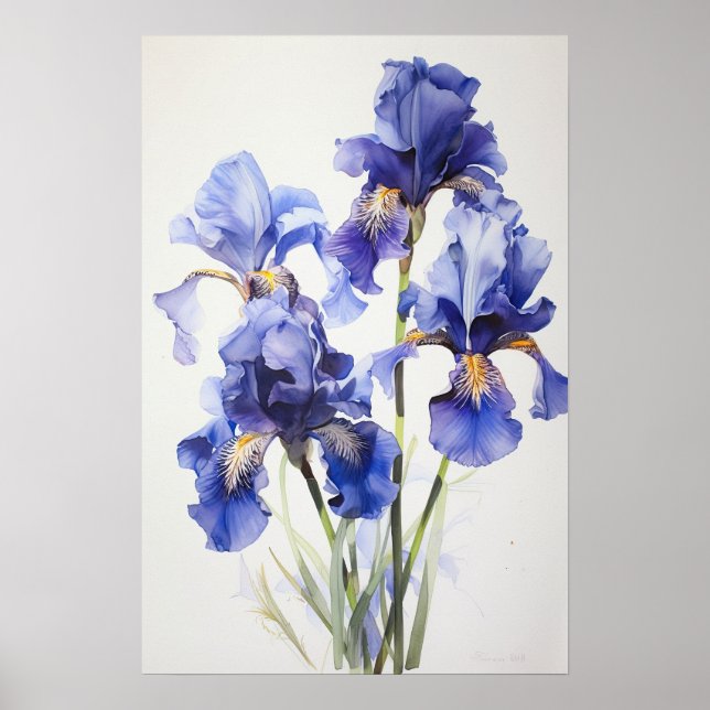 Bleu Irises Fleur Art Imprimer Poster (Devant)