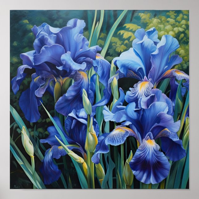 Bleu Irises Fleur Art Imprimer Poster (Devant)