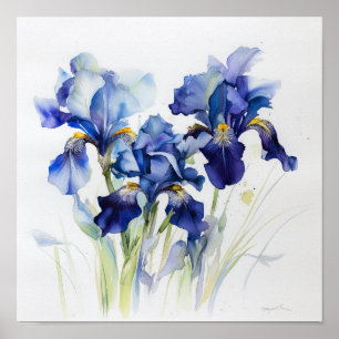 Bleu Irises Fleur Art Imprimer Poster