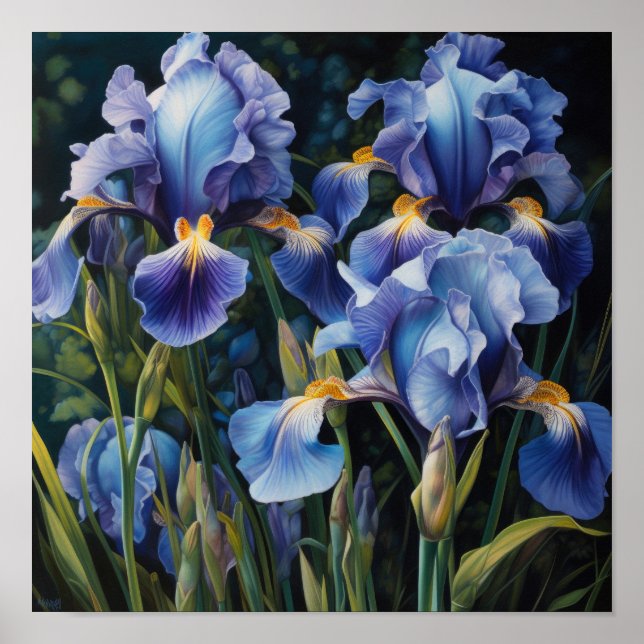 Bleu Irises Fleur Art Imprimer Poster (Devant)