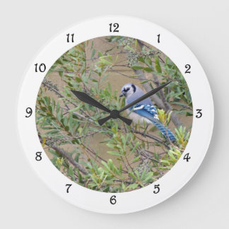 Bleu Jay en cire du Sud Myrtle Horloge murale