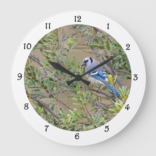 Bleu Jay en cire du Sud Myrtle Horloge murale (Recto)