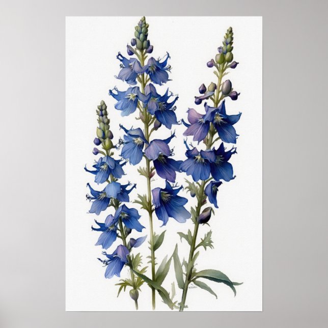 Bleu Larkspur Flower Art Imprimer Poster (Devant)