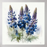 Bleu Lupine Flower Art Imprimer Poster