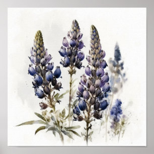 Bleu Lupine Flower Art Imprimer Poster