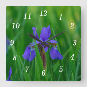 Bleu Néerlandais Parmi Feuille Horloge murale