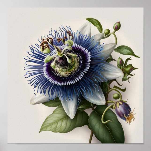 Bleu Passion Flower Art Imprimer Poster (Devant)
