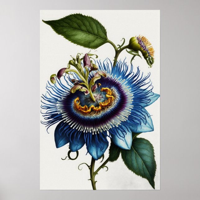 Bleu Passion Flower Art Imprimer Poster (Devant)