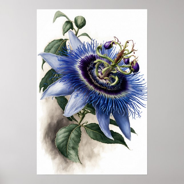Bleu Passion Flower Art Imprimer Poster (Devant)