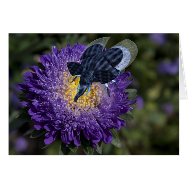 Bleu Rare Elephant Bug (Devant horizontal)