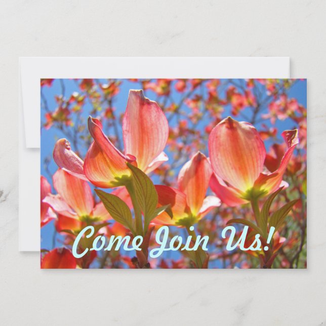 Bleu rose Invitations Dogwood Arbre Fleurs florale (Devant)