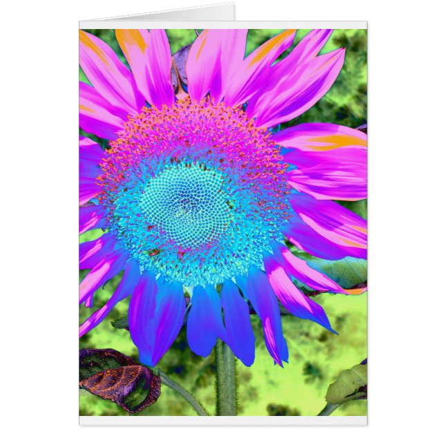 Bleu rose rétro tournesol funky photo (Devant)