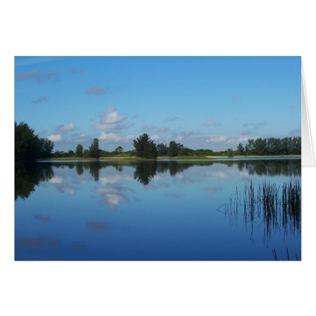 Bleu sur bleu (Devant horizontal)