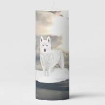 Bleu yeux, blanc Husky, dans la neige