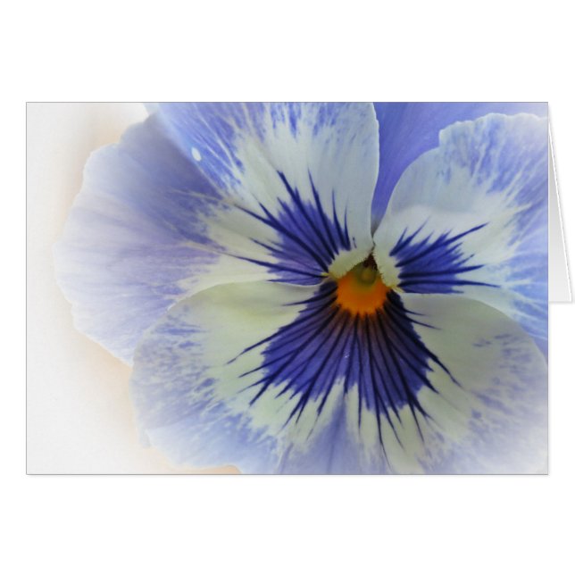 Bleus de pensée (Devant horizontal)