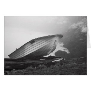 Bleus de poisson-chat