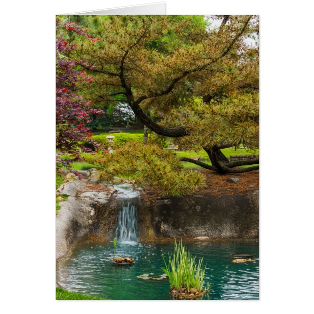 Bliss botaniques (Devant)