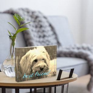 Bloc de photo de chien de meilleur ami