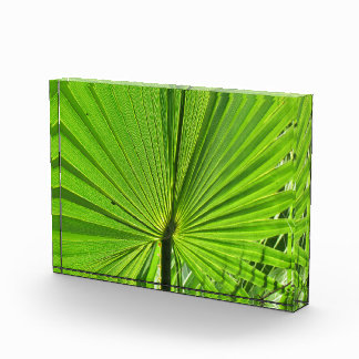 Bloc de photo - Feuille de palmier