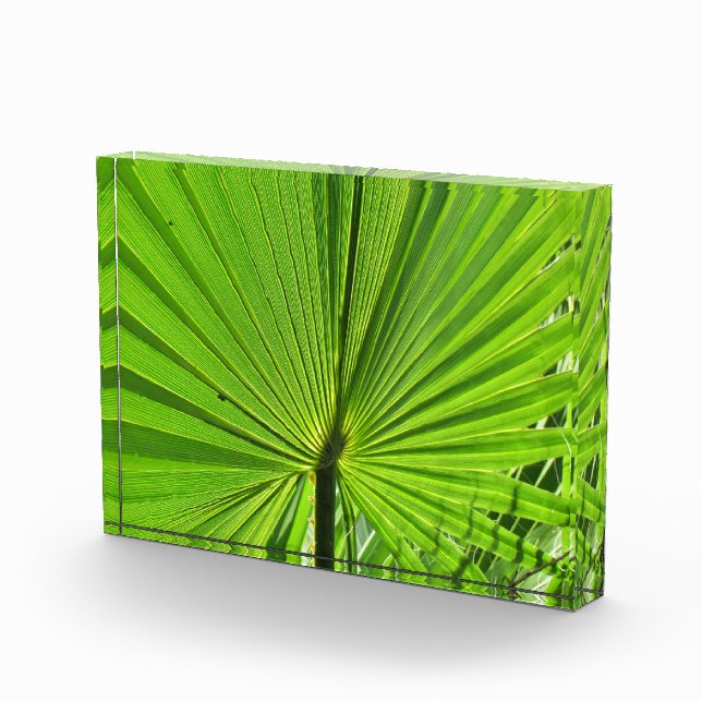 Bloc de photo - Feuille de palmier (Droite)