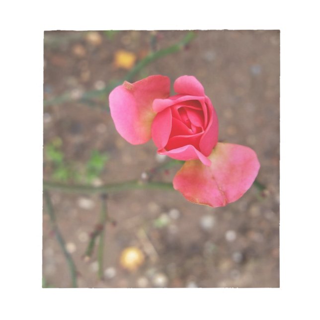 Bloc-note A November rosebud (Devant)