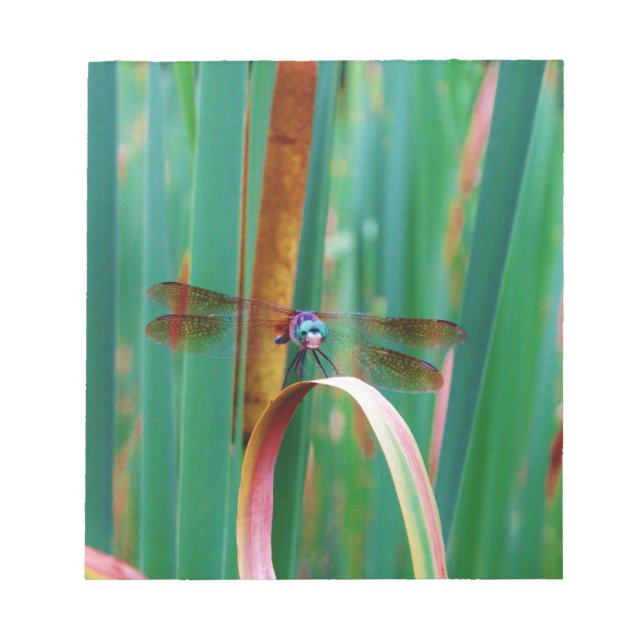 Bloc-note A teal Eyed Dragonfly with cattails (Devant)