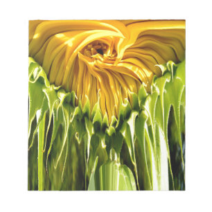 Bloc-note Abstrait tournesol rétro funky, géométrie effrayée