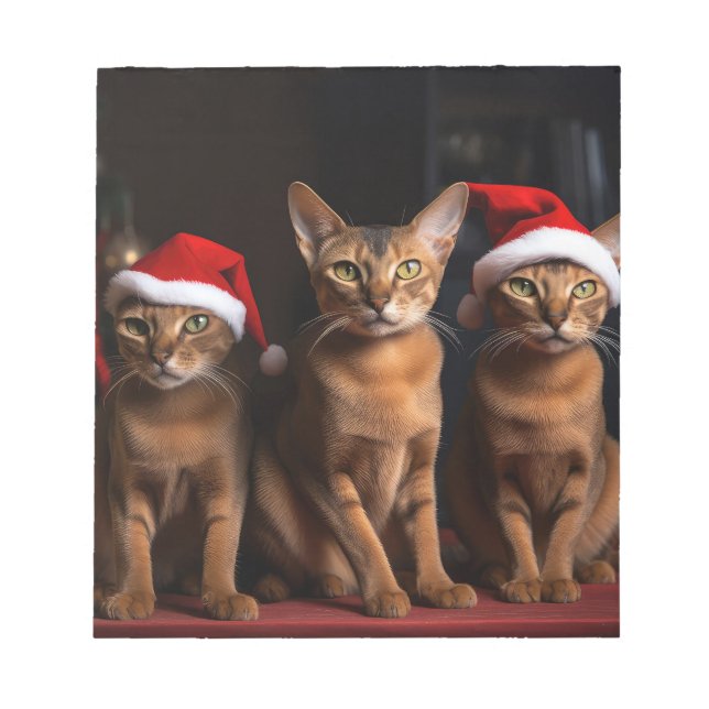 Bloc-note Abyssinian près de la cheminée Noël (Devant)