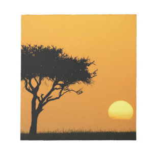 Bloc-note Acacia solitaire en silhouette au lever du soleil,