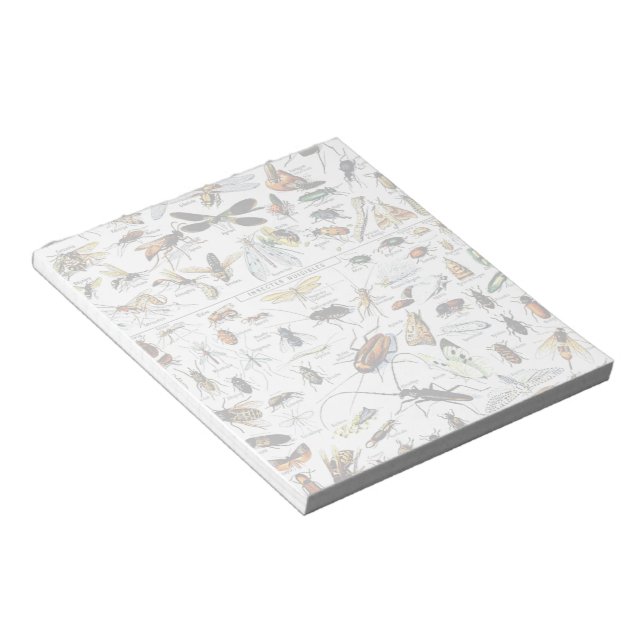 Bloc-note Adolphe Millot's Insectes Notepad (Incliné)