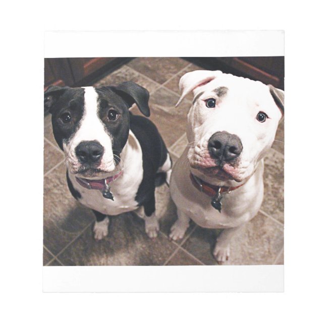 Bloc-note adorables chiots pitbull chiens (Devant)